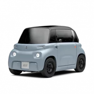 Permis AM/VOITURETTE